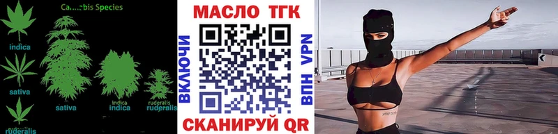 дарнет шоп Заволжск ТГК концентрат