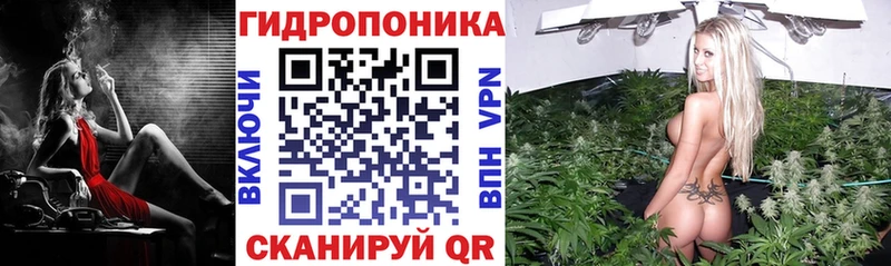 наркота  Заволжск  МАРИХУАНА семена 